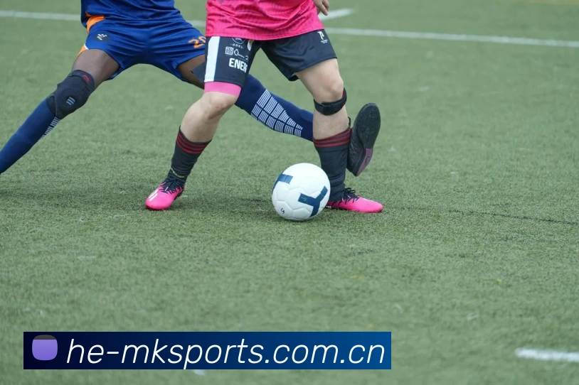 MK Sports体育平台数据仪表盘